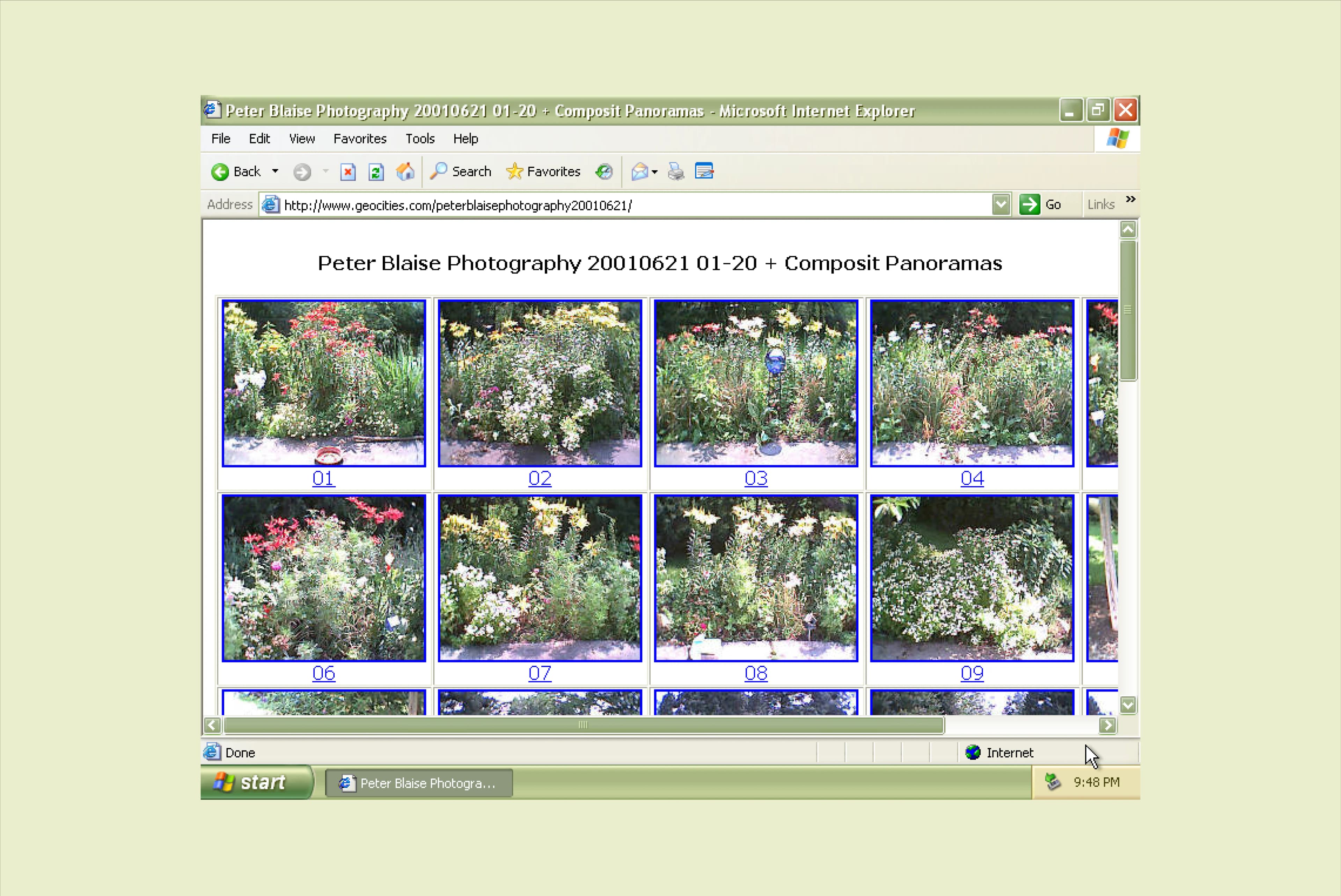 A Geocities page displays a grid of photos of flowers, attributed to “Peter Blaine Photography”