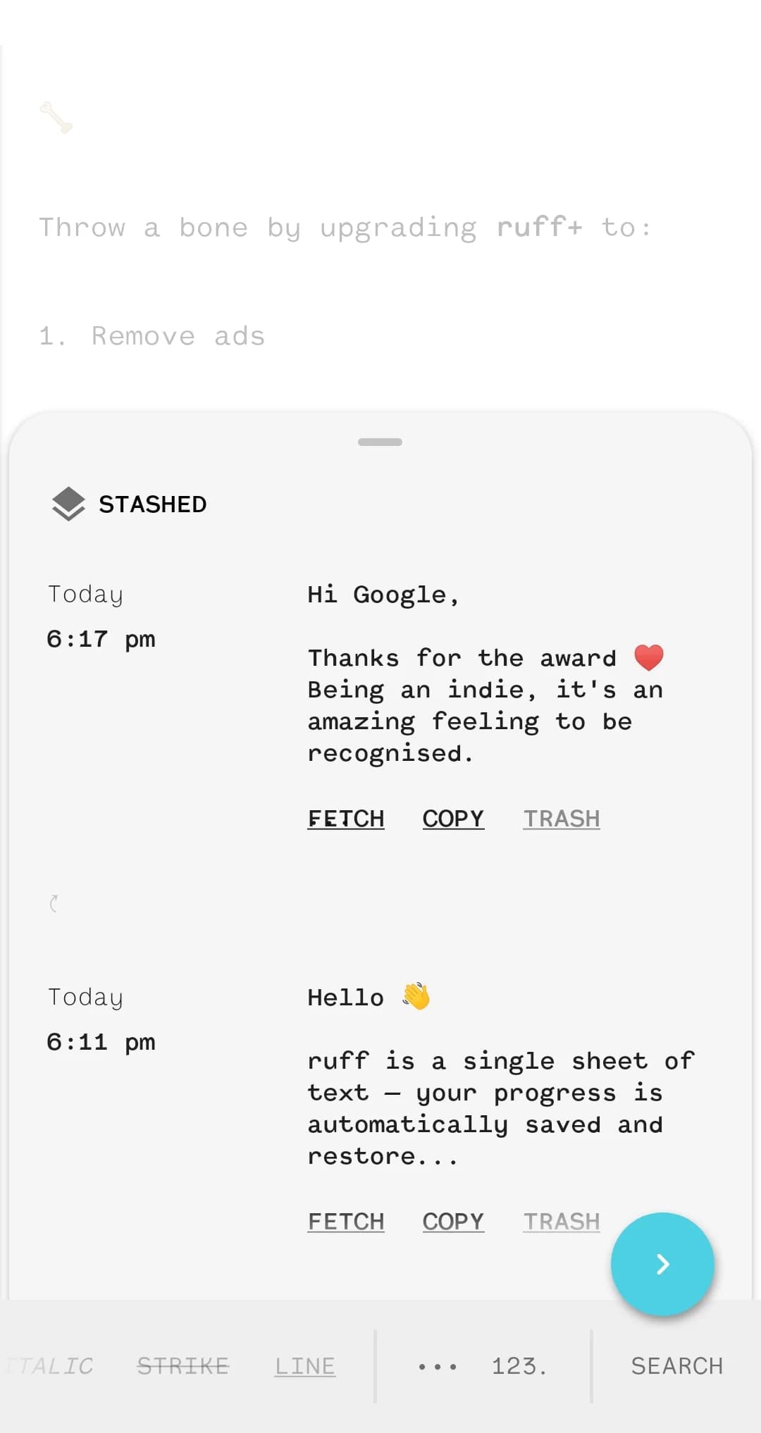 Screenshot of the ruff writing app. Two text snippets are saved with timestamps. Options to fetch, copy, or trash text are visible.