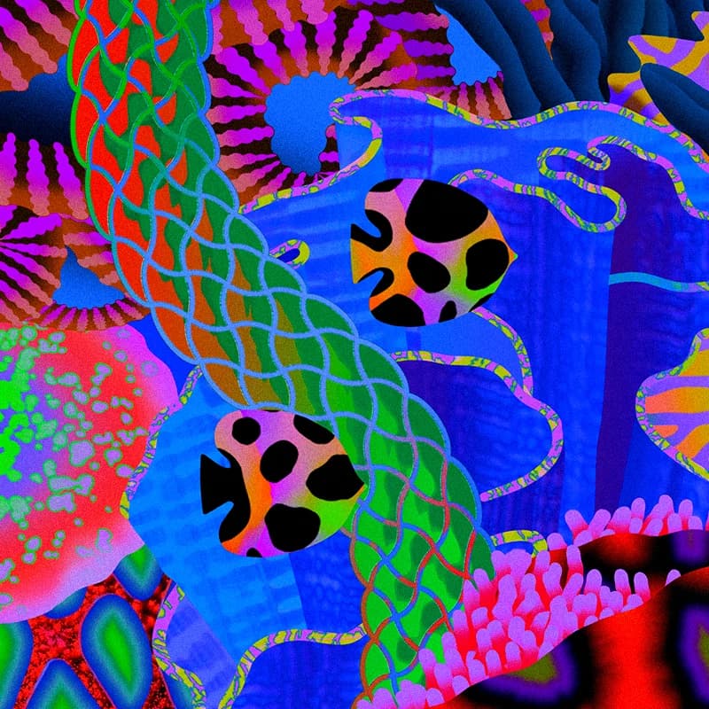 Two spotted fish swim among vibrant corals, kelp, and anemones. A thick, braided vine-like form stretches across a deep blue backdrop.
