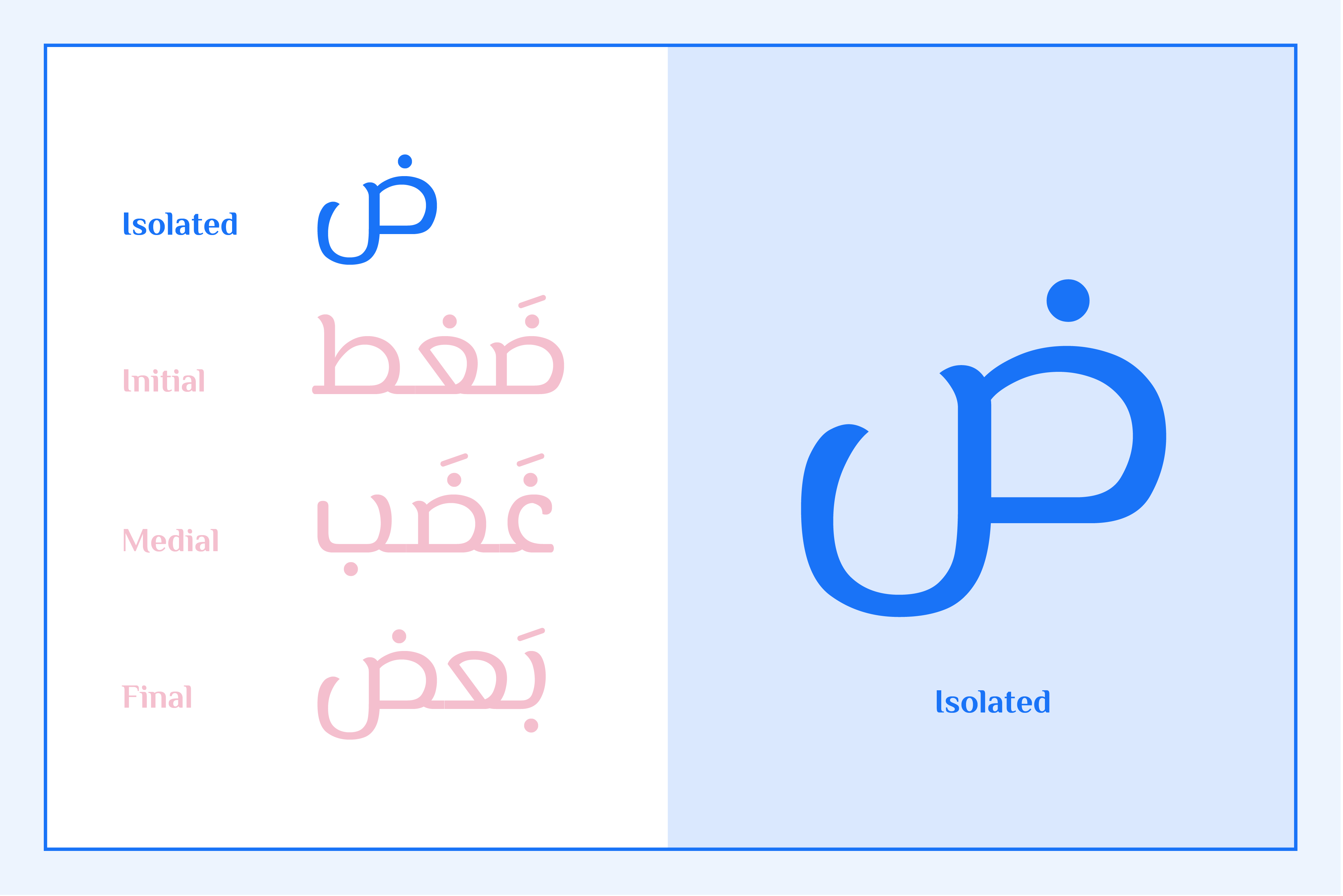 Arabic letter Ḍād (ض) in initial, medial, isolated, and final forms. Shows how the letter connects to others.