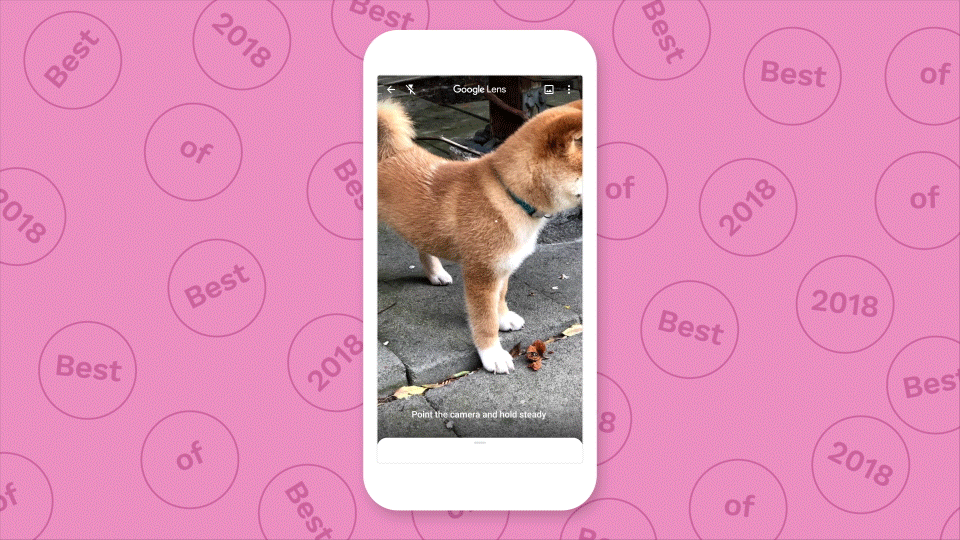 Google Lens open on phone, focused on a Shiba Inu puppy outdoors.