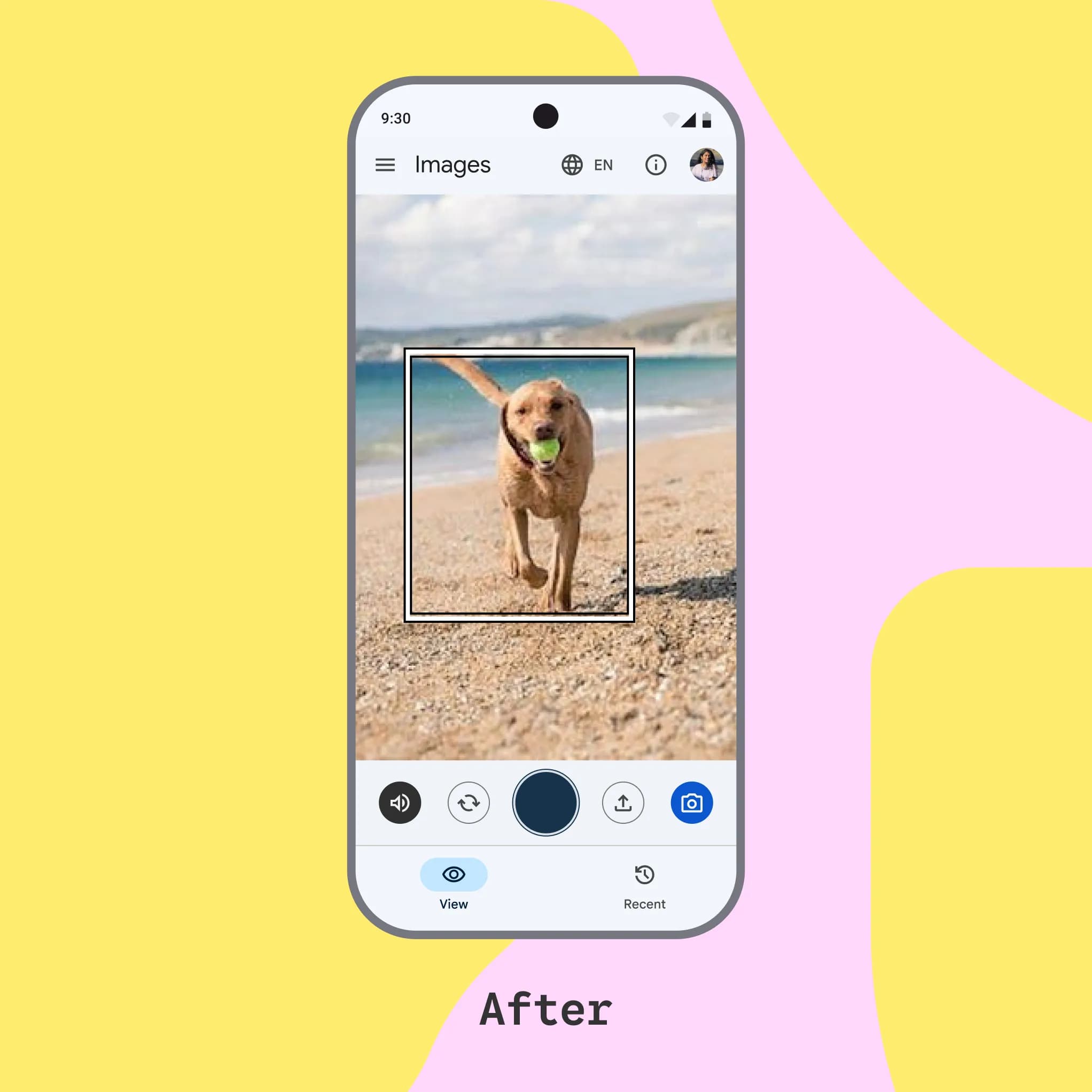 App screen with a live camera view and framing guidance focused on a dog.