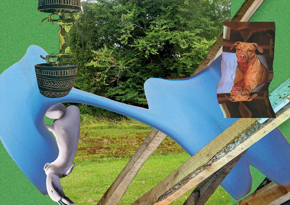 Jade plant hangs above gray sculpture; blue blob stretches over lumber frame.