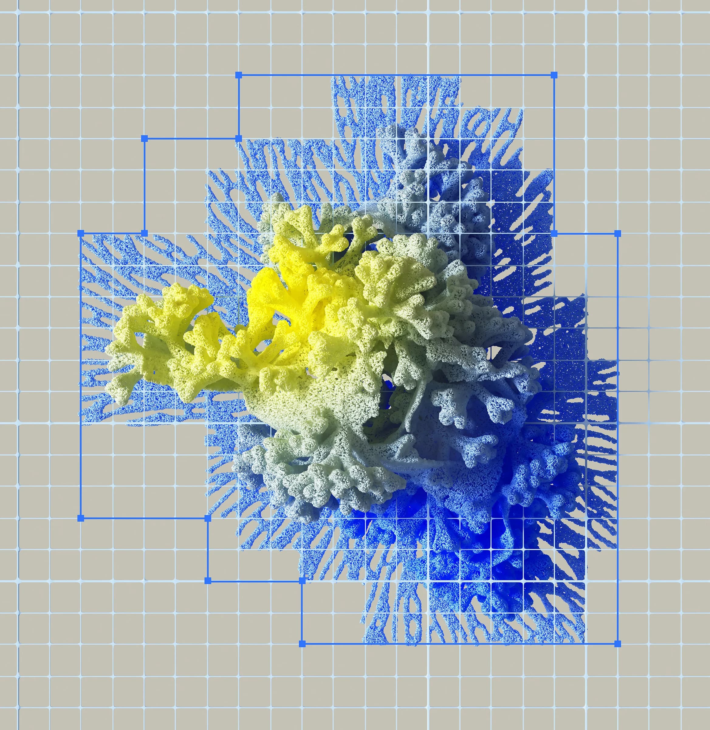 Yellow and blue fractal art resembling coral branches on a light-brown gridded background. Blue selection boxes partially enclose sections of the fractal.