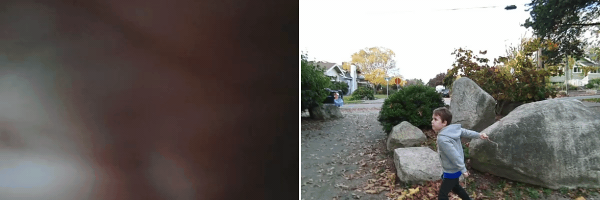 A child throws a stick toward large rocks in a park-like setting. Houses and trees line the background.