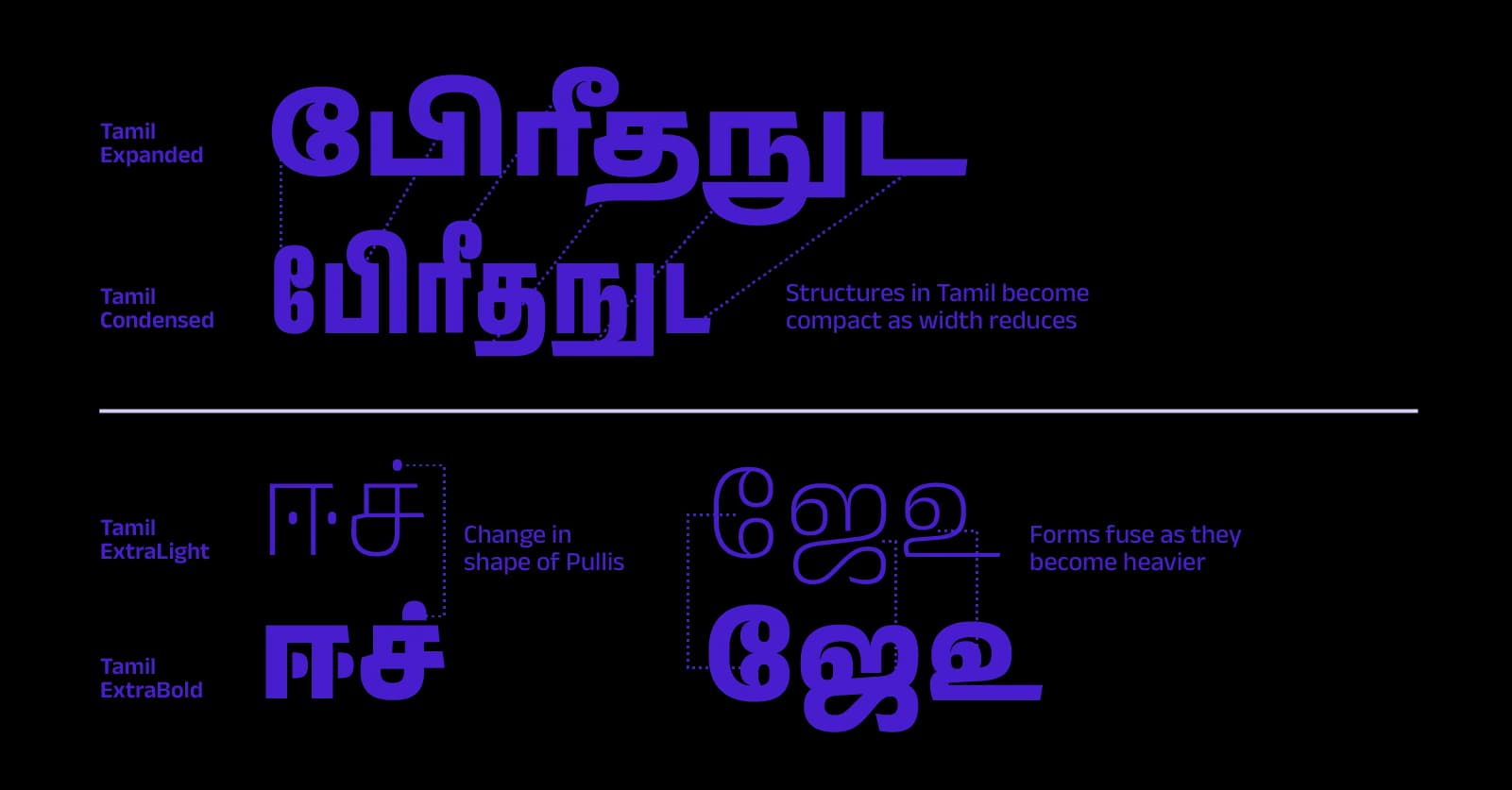 Tamil script adapts to various font weights and widths. Expanded and condensed forms show structural changes.