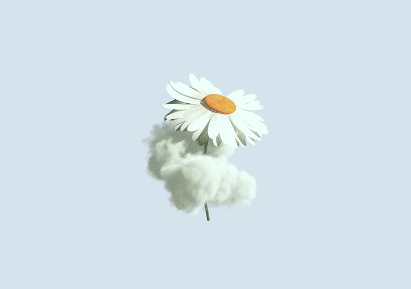 A white daisy with an orange center floats above a small, fluffy white cloud against a light blue background.